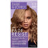 Dark and Lovely #378 Fade Resist Permanent Hair Color
